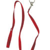 RED LEASH & COLLAR