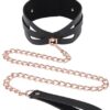 S&M Brat Collar & Leash