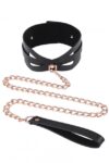 S&M Brat Collar & Leash