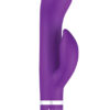 Bwild Classic Marine Cerise & Purple