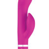 Bwild Classic Marine Cerise & Purple