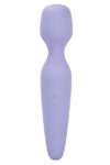 Miracle Massager Rechargeable.