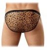 ANIMAL B.O. ENH BIKINI BROWN T. L/XL