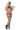 99472608-420x630 FFL - KARNAL KITTY QUEEN